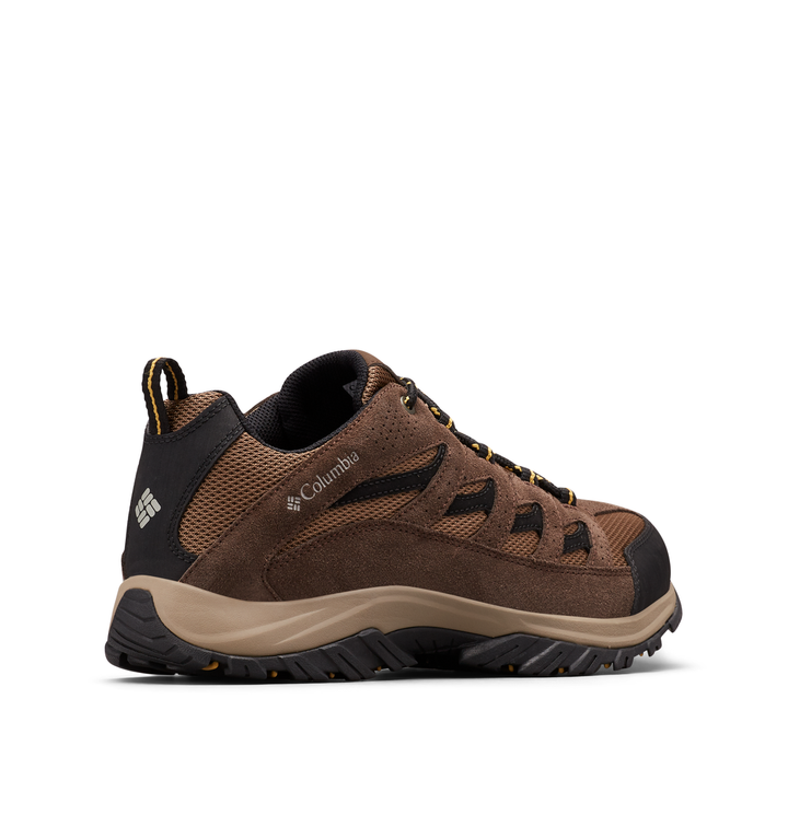 #Dark Brown Baker-203_5