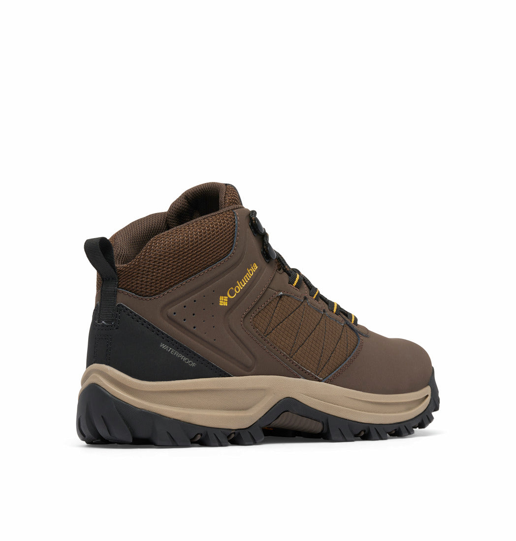 #Cordovan Golden Yellow-231_1