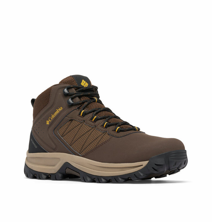 #Cordovan Golden Yellow-231_1