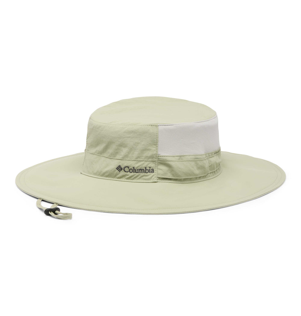 #Safari-348_1