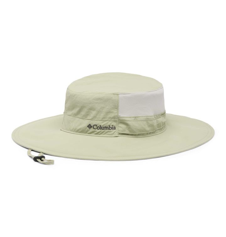 #Safari-348_1